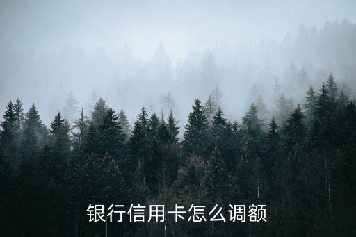 银行信用卡怎么调额