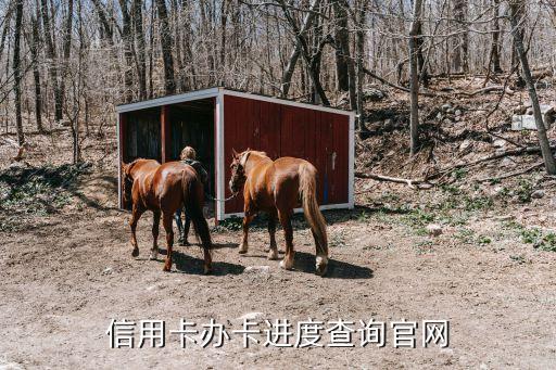 信用卡办卡进度查询官网