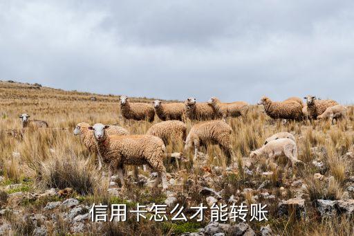  信用卡怎么才能转账