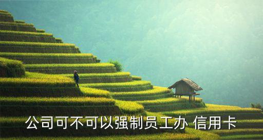 公司可不可以强制员工办 信用卡