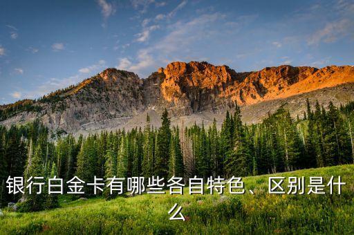 光大银行信用卡白金卡用途,龙腾旅游白金卡