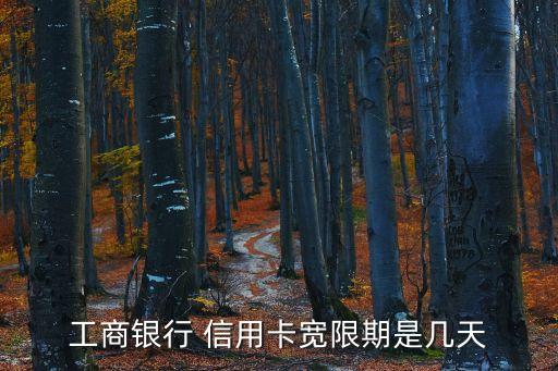 工商银行 信用卡宽限期是几天