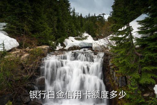 银行白金信用卡额度多少