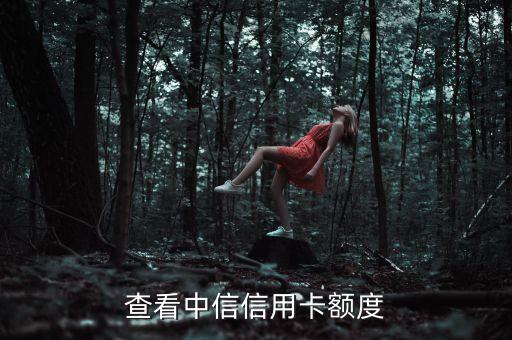 查看中信信用卡额度