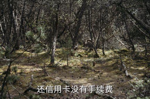 还信用卡没有手续费