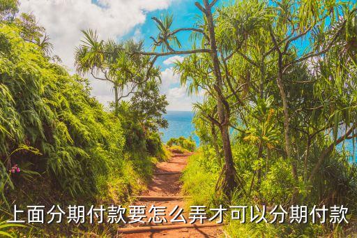 上面分期付款要怎么弄才可以分期付款