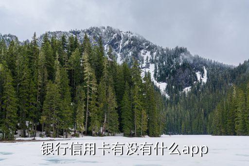 中信银行信用卡应用叫什么,中信信用卡app叫什么名字