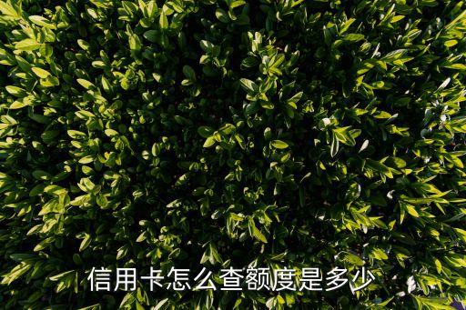 如何查银行信用卡的额度吗,如何查询广州银行的信用卡额度