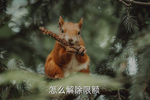 怎么解除限额