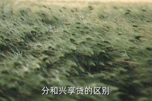 分和兴享贷的区别