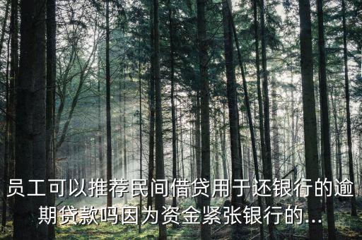 员工可以推荐民间借贷用于还银行的逾期贷款吗因为资金紧张银行的...