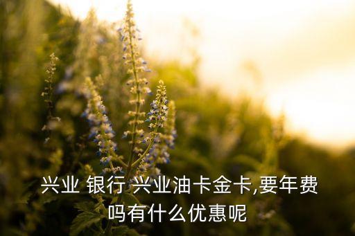  兴业 银行 兴业油卡金卡,要年费吗有什么优惠呢
