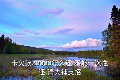 卡欠款20000怎么还,不能一次性还,请大神支招