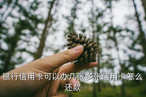 银行信用卡可以办几张多张信用卡怎么还款