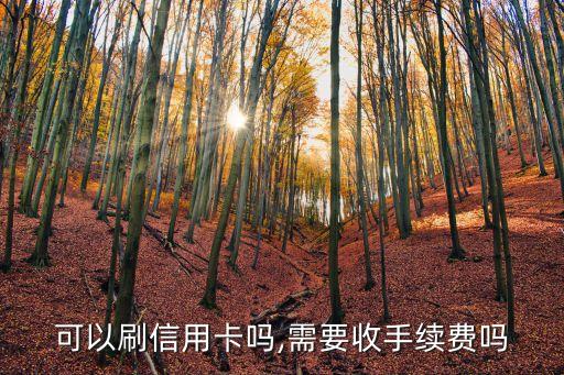 可以刷信用卡吗,需要收手续费吗