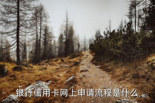 银行信用卡网上申请流程是什么