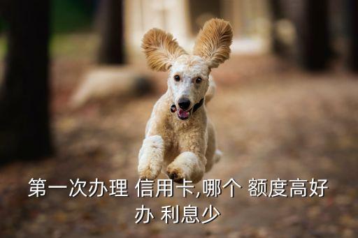 第一次办理 信用卡,哪个 额度高好办 利息少