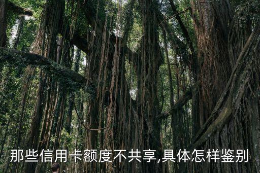 工商银行信用卡威士卡额度,中国工商银行Visa金卡