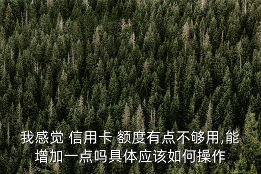 我感觉 信用卡 额度有点不够用,能增加一点吗具体应该如何操作