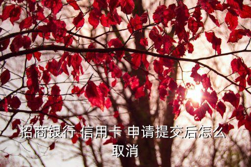 招商银行 信用卡 申请提交后怎么 取消