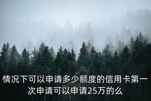 情况下可以申请多少额度的信用卡第一次申请可以申请25万的么
