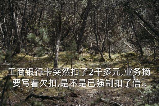 工商信用卡还款被扣了2次,工行信用卡还款
