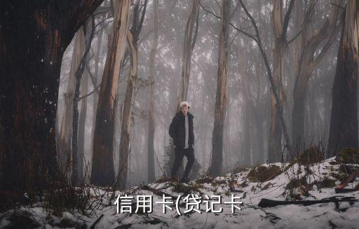 信用卡(贷记卡