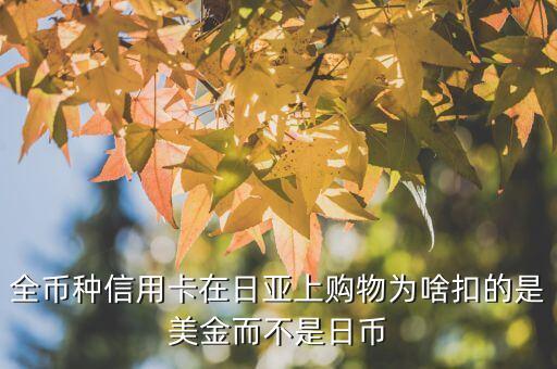 全币种信用卡在日亚上购物为啥扣的是美金而不是日币