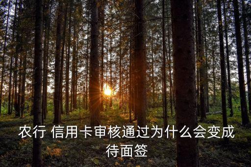  农行 信用卡审核通过为什么会变成 待面签