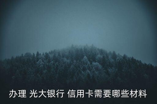 办理 光大银行 信用卡需要哪些材料