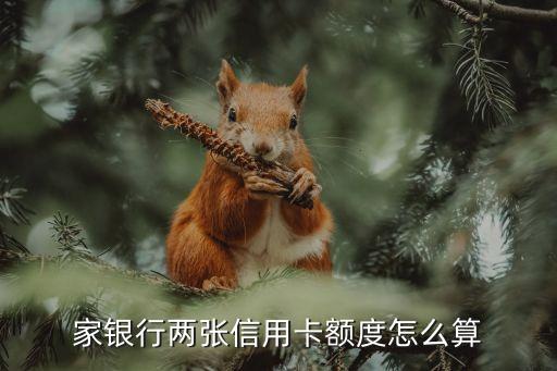 信用卡额度怎么算的,信用卡额度怎么算