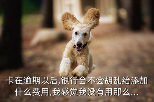 卡在逾期以后,银行会不会胡乱给添加什么费用,我感觉我没有用那么...