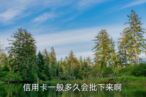 信用卡一般多久会批下来啊