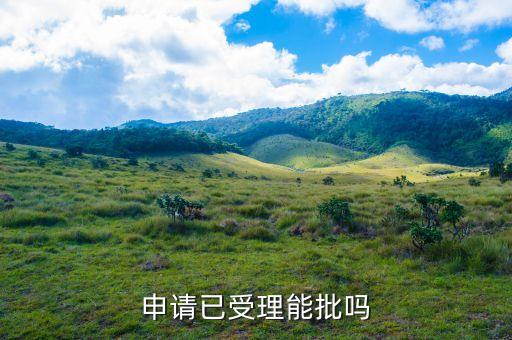 申请已受理能批吗
