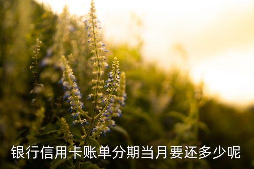 银行信用卡账单分期当月要还多少呢