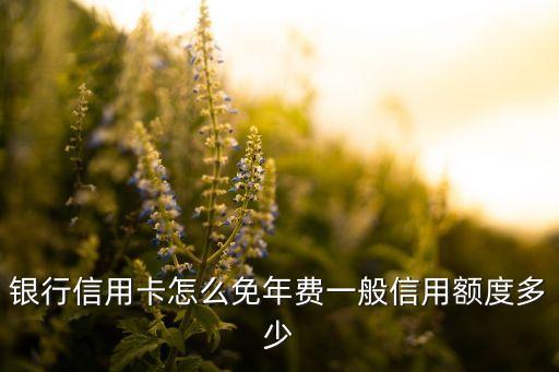 银行信用卡怎么免年费一般信用额度多少