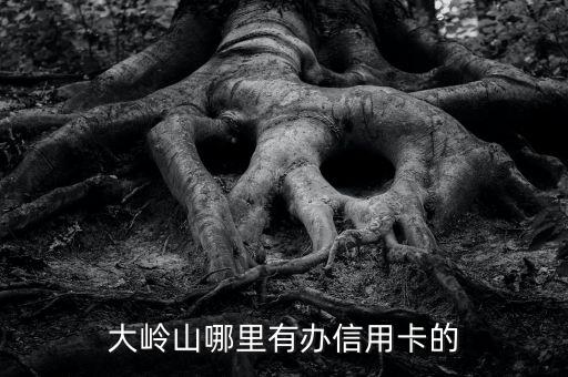 大岭山哪里有办信用卡的