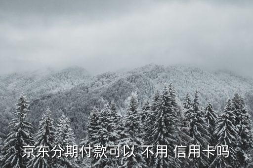 京东分期付款可以 不用 信用卡吗