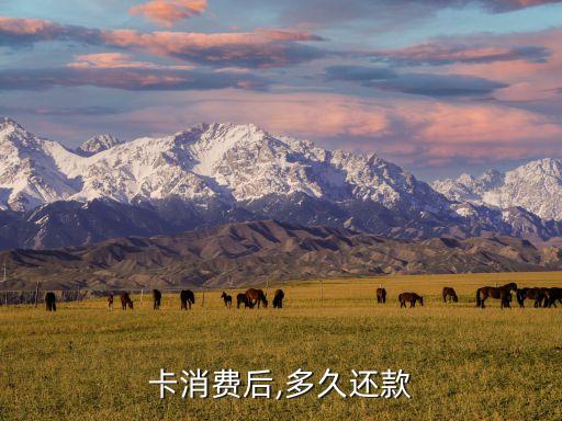 卡消费后,多久还款