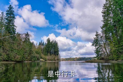 是中行卡