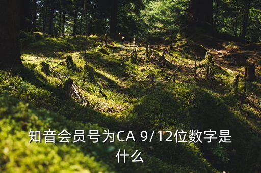 知音会员号为CA 9/12位数字是什么