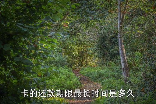 卡的还款期限最长时间是多久