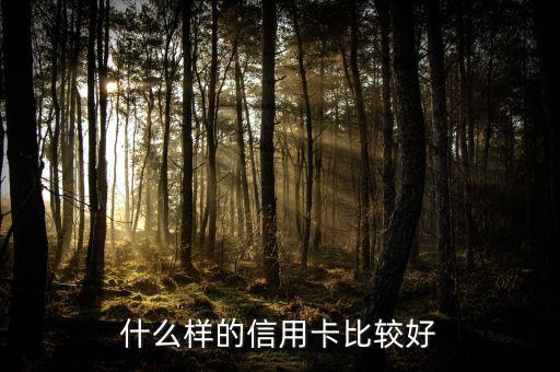 什么样的信用卡比较好