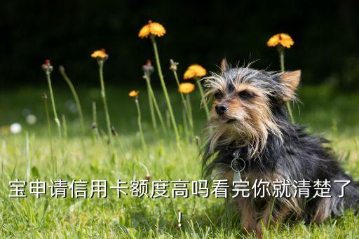 宝申请信用卡额度高吗看完你就清楚了!