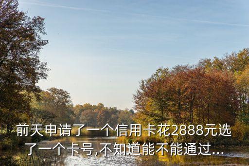 前天申请了一个信用卡花2888元选了一个卡号,不知道能不能通过...