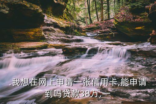 .我想在网上申请一张信用卡,能申请到吗贷款38万,一
