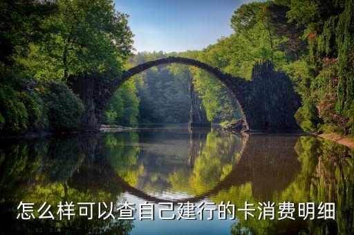 建设银行信用卡查转账来源