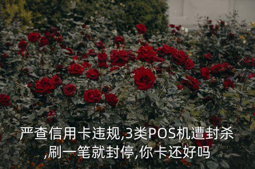 严查信用卡违规,3类POS机遭封杀,刷一笔就封停,你卡还好吗