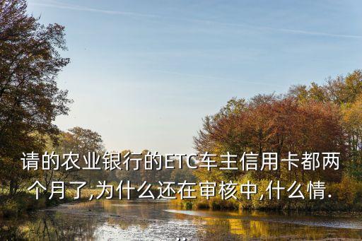 请的农业银行的ETC车主信用卡都两个月了,为什么还在审核中,什么情...