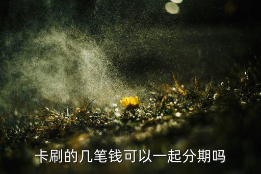 卡刷的几笔钱可以一起分期吗
